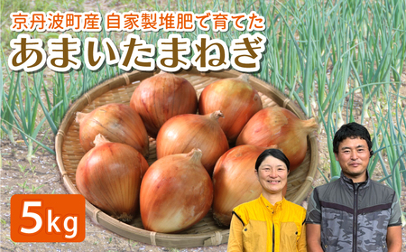 玉ねぎ 5kg ( 京都玉ねぎ 京丹波玉ねぎ 玉ねぎ5kg 10000円玉ねぎ )