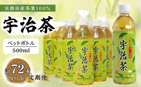 [3回定期便]宇治茶ペットボトル 500ml×24本 京都お茶 お茶ペットボトル ペットボトル 備蓄お茶 緑茶お茶 お茶