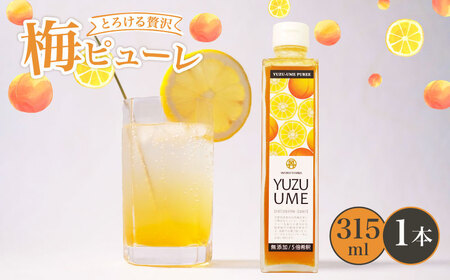梅ピューレYUZUUME 1本 ( 梅柚子ジュース 柚子ピューレ 国産柚子 柚子ジュース )