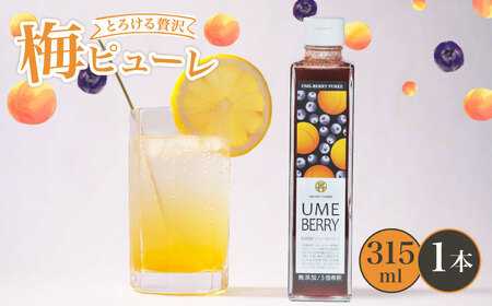 梅ピューレUMEBERRY 1本 ( ブルーベリーピューレ 梅ベリーピューレ 果物ピューレ 京都ピューレ )