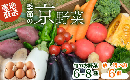 [産地直送]旬のお野菜詰め合わせ 6〜8種類 卵 6個付き ( 京野菜 野菜 お やさい セット セット 詰め合わせ 季節 旬 産地直送 栄養 安心 新鮮 おすすめ たまご ネラ 放し飼い きよしファーム 南丹市 南丹 京都府 京都 )