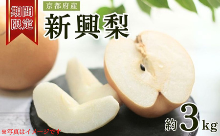 [先行予約]京都府産 新興梨 3kg 和梨 なし ナシ 果物 フルーツ