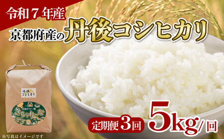 [令和7年産 新米]定期便 全3回 京都府産 丹後コシヒカリ 5kg 米 こめ 白米 国産 ブランド米 取り寄せ 京都 ごはん コシヒカリ 2025年度 JA JA京都 京都府産 京都府