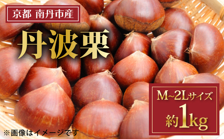 yԌz OgI 1kg M~2LTCY I