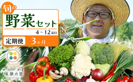 [3回定期便] 野菜セット 4~12種類 詰め合せ 季節の野菜 旬の野菜