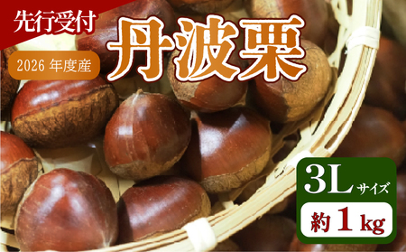 �y��s�\��z2026�N�x�Y �H�̖��o �O�g�I 3L�T�C�Y 1kg ���I �a�I