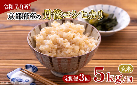 [玄米]定期便 3回 新米 令和7年産 丹後コシヒカリ 玄米 5kg