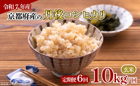 �y���āz����� 6�� �V�� �ߘa7�N�Y �O��R�V�q�J�� ���� 10kg