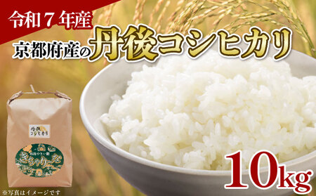 [令和7年産 新米]丹後コシヒカリ 10kg 精米 白米
