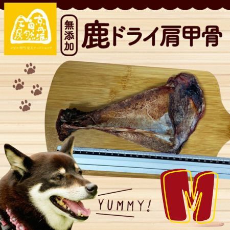 鹿ドライ肩甲骨Mサイズ（20~22㎝）6本 セット ペット用品 ペットグッズ ペットフード
