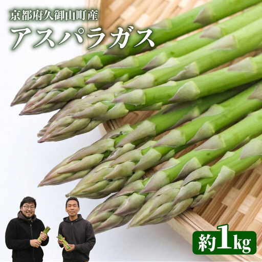 アスパラガス 1kg M〜Lサイズ 京都 久御山 朝採り 先行予約 夏芽 アスパラガス