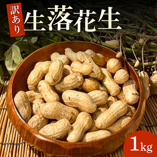 訳あり 落花生 8月〜11月発送 (約1kg) | 京都府久御山町 落花生