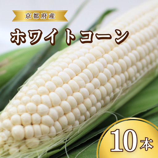 とうもろこし ホワイトコーン 10本 京丹後産 京都