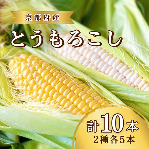 とうもろこし 2種 各5本 計 10本 セット 京丹後産 京都