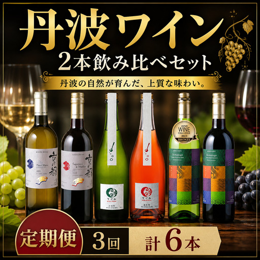 [3回定期便]丹波ワイン 飲み比べ 750ml 2本 × 3カ月 6本 セット ワイン