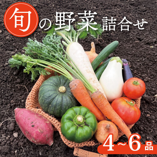 京野菜セット 4~6種 レギュラーコース 野菜セット 野菜詰め合わせ 京野菜