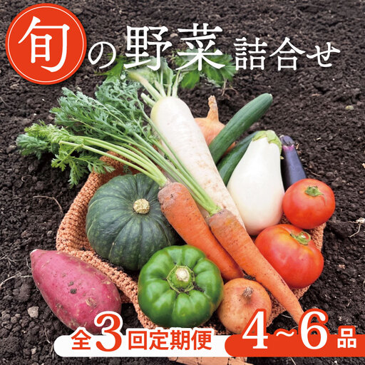 [定期便3回]京野菜セット 4~6種 定期便 レギュラーコース 野菜定期便