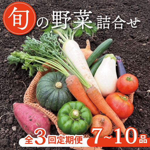 [定期便3回]京野菜セット 7~10種 定期便 スペシャルコース 野菜定期便