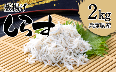 釜揚げ しらす 2kg 兵庫県産 / しらす