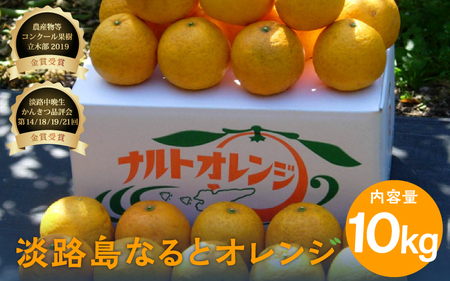 [先行予約] [数量限定] 淡路島なるとオレンジ 10kg 若宮ミカン農園[2025年4月より順次発送] / みかん オレンジ フルーツ ミカン 果物 果実 青果 兵庫県 淡路島 洲本市産 農園 農家 有機 幻 まぼろし