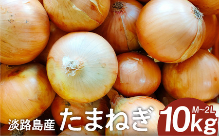 淡路島産たまねぎ 10kg入り箱 / 玉葱 玉ねぎ タマネギ 10キロ オニオン バーベキュー サラダ 焼き肉 スープ 国産 野菜