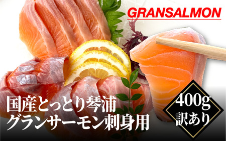 国産とっとり琴浦グランサーモン刺身用 400g訳あり