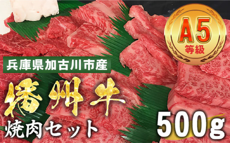 加古川市産 黒毛和牛(播州牛) 焼肉セット 500g