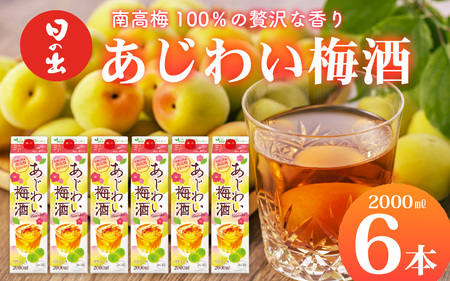 日の出みりん あじわい梅酒(南高梅100%)2L/6本 [ お酒 酸味 優しい甘み 梅酒 セット ]