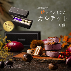 yԌzyPenheurz H̃v~AEJebgBOX 6 ^vm[ o^[Th v~A Jebg mَq Ăَq Gߌ  I NbL[ At^k[eB[ Mtg p[