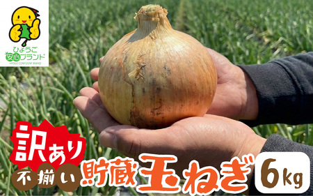 【先行予約】 淡路島 貯蔵玉ねぎ 6kg 訳あり サイズ不揃い 簡易箱でお届け / 玉ねぎ
