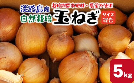淡路島産 栽培期間中肥料・農薬不使用 自然栽培玉ねぎ 5kg ／ 玉ねぎ