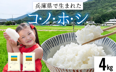 兵庫県産コノホシ (4kg) 米 / 米