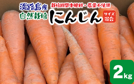 [期間限定]淡路島産 栽培期間中肥料・農薬不使用 自然栽培人参 2kg / 人参