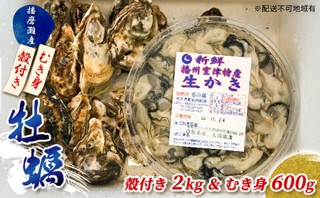 殻付き牡蠣2kg・むき身300g✕2パック セット【2023年12月中旬以降出荷予定】