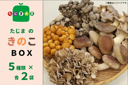 たじまのきのこBOX(5種類×各2袋)