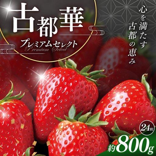 苺 奈良県産 古都華 プレミアムセレクト 24粒入り
