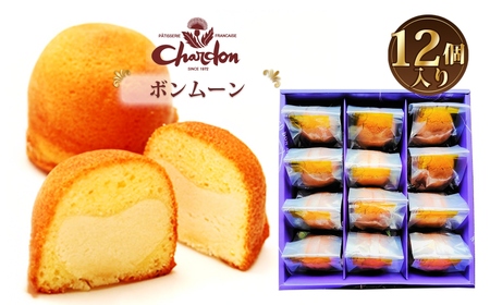 {[l 12 ^ mَq ĉَq [i Mtg 蕨 o^[   َq XC[c fU[g m No.212