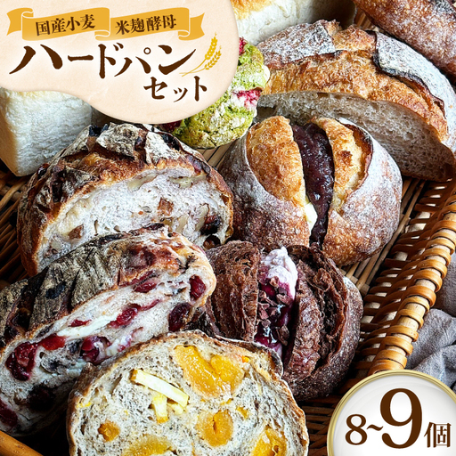 国産石臼挽小麦・米麹酵母使用 富士溶岩石の上で焼き上げるハードパンオススメセット 8〜9個 [笑門ベーカリー 愛知県 江南市 ko23btu500003]