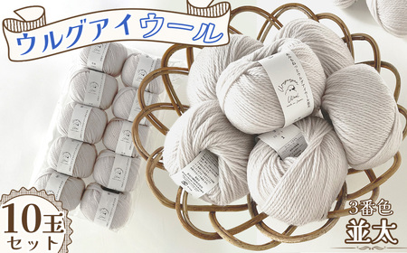 毛糸 ウルグアイウール並太 3番色 10玉セット / ウール100% 並太毛糸 手編み 編み物 ハンドメイド 冬小物 マフラー 帽子 セーター ブランケット 編みやすい ふっくら 愛知県 No.322