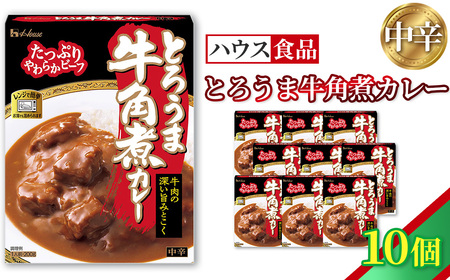 ハウス とろうま牛角煮カレー 中辛 10個 / レトルト カレー ハウス食品 レンジ 湯煎 湯せん 時短 簡単 簡単調理 防災食 長期保存 非常食 ローリングストック 災害 備蓄 常温保存 セット No.337-01