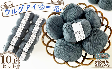 毛糸 ウルグアイウール並太 17番色 10玉セット / ウール100% 並太毛糸 手編み 編み物 ハンドメイド 冬小物 マフラー 帽子 セーター ブランケット 編みやすい ふっくら 愛知県 No.360
