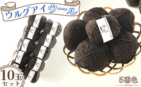 毛糸 あみもねっとウルグアイウール天然色 [5番色10玉セット] / 毛糸 ウール100 編み物 天然色 ナチュラルカラー 手編み 棒針 かぎ針 軽い 柔らかい ふっくら 編みやすい セーター マフラー 手作り ハンドメイド 冬支度 愛知県 No.374