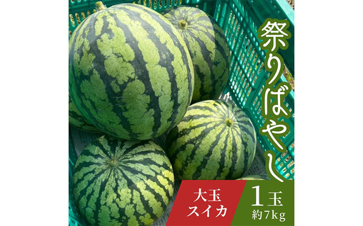 すいか 祭りばやし 1玉(約7kg) / スイカ 祭りばやし 大玉 夏スイカ 夏 フルーツ 旬 果物 甘い シャリ感 高糖度 ギフト 贈答 季節限定 お中元 みずみずしい 食感 愛知県 No.406
