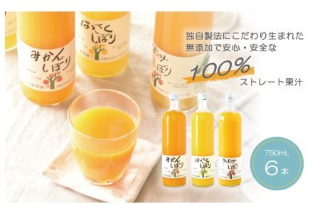 3種の100%ピュアジュース750ml 6本入り