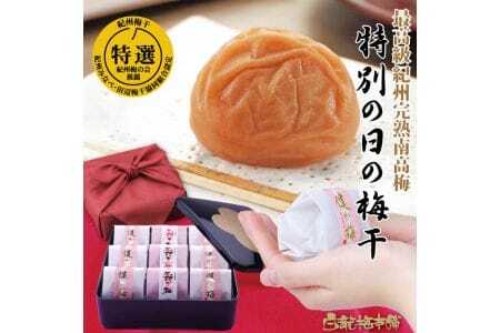 紀州完熟南高梅 特別の日の梅干・一段重