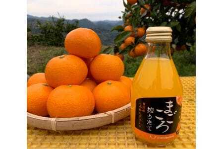 まごころ搾りたて有田産みかんジュース180ml 12本入