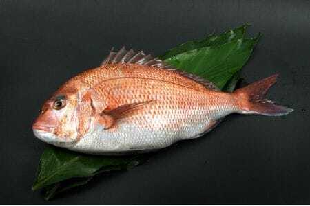 紀州梅まだい1尾(鮮魚)