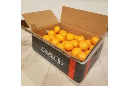 かねよし農園みかん5kg Lサイズ