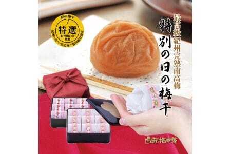 紀州完熟南高梅 特別の日の梅干・二段重