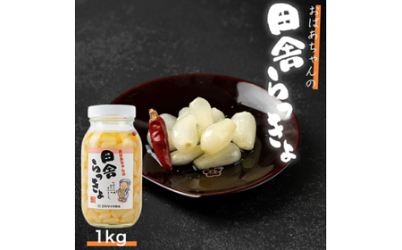 M331　ことこばあちゃんの田舎らっきょ１ｋｇ